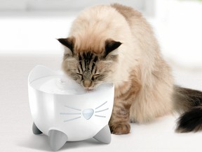 The Catit PIXI holds up to 2.5 litres of water and filters dust and debris. catit.ca