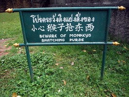 sign warning of monkeys