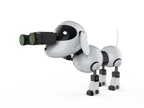 dog robot with binoculars