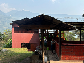 Local coffee farm we visited.