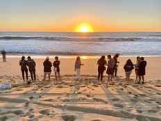 Tourists line up to release baby sea turtles at Rancho Carisuva, a 20-minute drive north of Cabo San Lucas, Mexico.