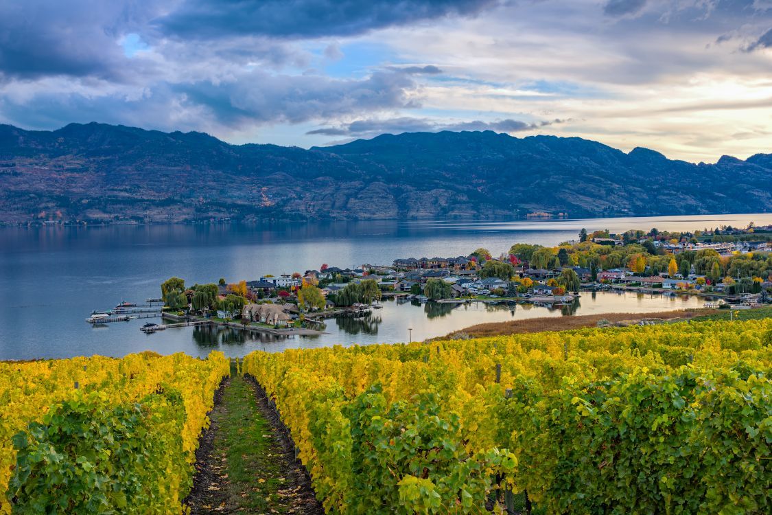 Kelowna has been named Canada’s first UNESCO ‘City of Gastronomy’ — here's what that means