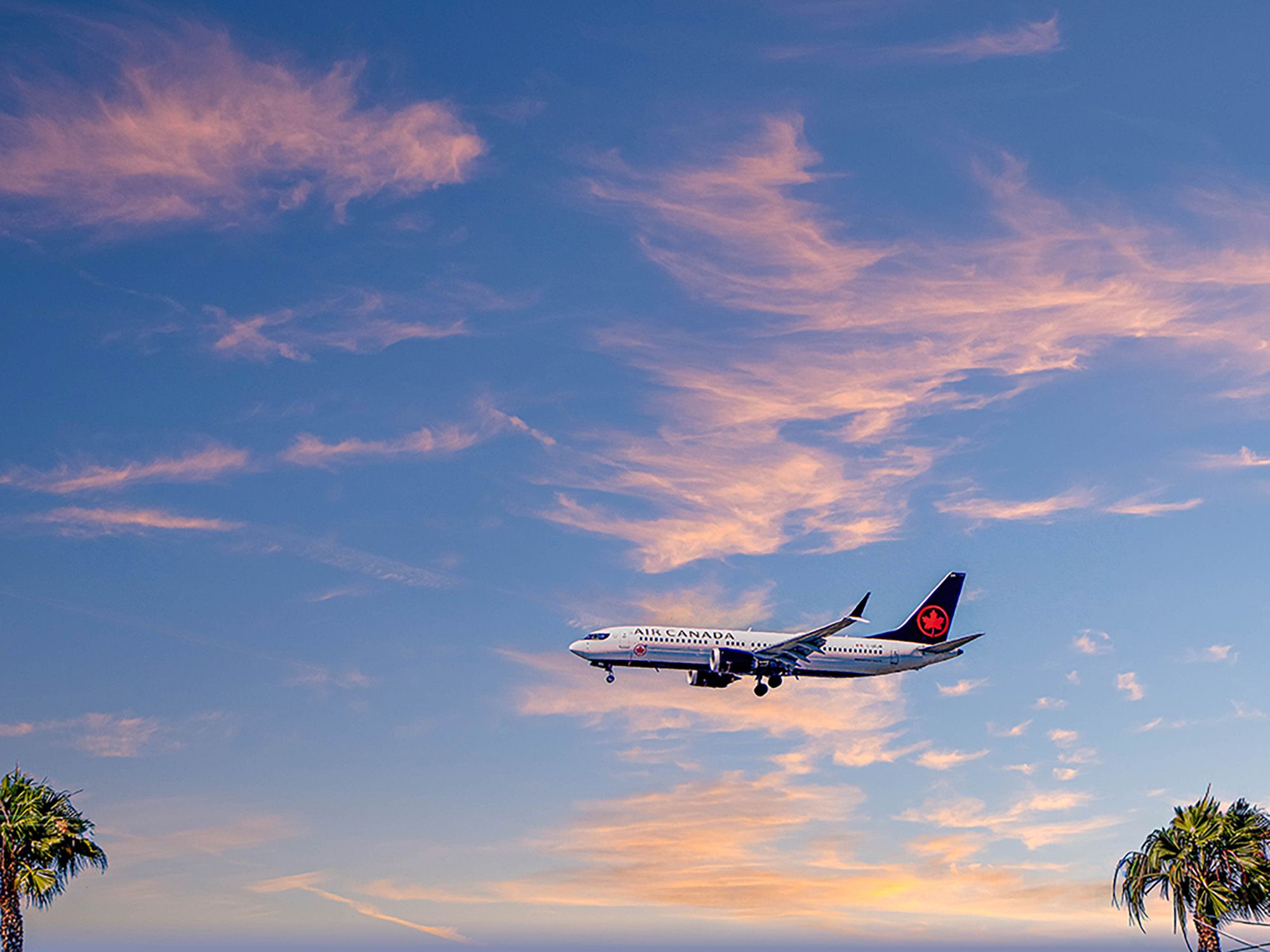 airplane, Air Canada, palm trees, blue skies, clouds