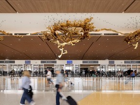 Terminal 1 at San Diego International Airport.