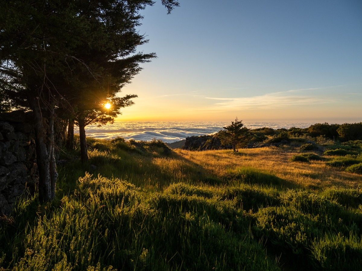 Early morning in one of the high-altitude meadows found among mountainous Madeira's diverse landscapes.