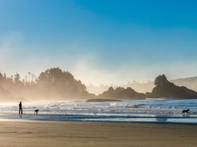 Tofino is a great place to visit for surfing and hiking and has attracted the likes of Ryan Reynolds, Scarlett Johansson and James Marsden.
