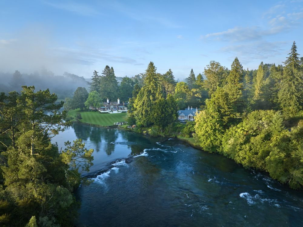 I went to New Zealand for the wine, but stayed for the glow-worms