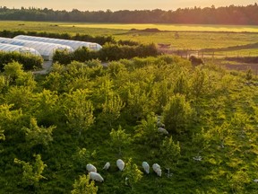 Heckfield Place’s Home Farm sits on a 483-acre estate.