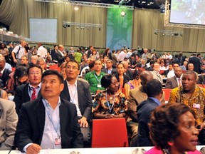 Delegates attend on November 28, 2011 the opening of UN talks on climate change in Durban.