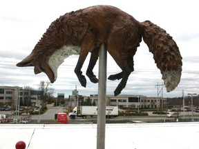 'Chase,' a sculpture by Anna Williams and Erin Robertson at the new recreation complex in Kanata north, includes seven poses of a bronze fox  chasing a ball. This pose is set on the roof over the main entrance, and shows a fox leaping up as the ball bounces below. (Photos courtesy the artists)