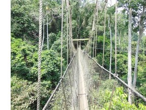 A bird’s-eye view of one of the amazing canopy walkways in the rain forest of the Kakum National Park in Ghana. Hanging 40 metres from the forest floor, it was engineered by a pair of Canadians.

 Photo credit: Samir Adam