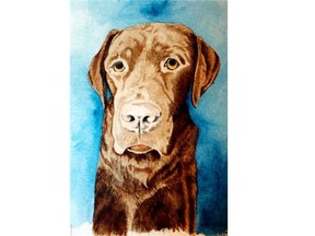 Sue Dwyer works on a portrait of Marshall - NHLer Tyler Seguin’s Chocolate Lab. The local artist runs Suzie Q Designs and specializes in watercolours of people’s pets.