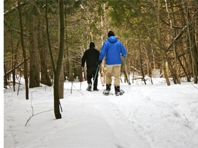 Robin Farquhar, in blue jacket, and writer Peter Johansen enjoy a sunny winterís day snowshoeing through Warwick Forest near Berwick.  The forest is designed to explore various forestry management techniques that can be applied to similar forests elsewhere.  Photo: Oxana Sawka.