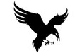 Carleton Ravens logo