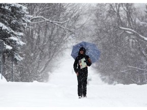 Natalie Lu makes her way through Sandy Hill during a spring snowstorm in Ottawa on Saturday.