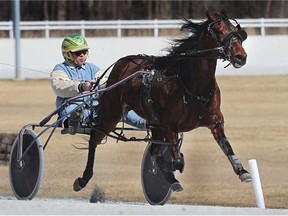 In this file photo,  a horse is taken through its paces at Windsor Raceway. (Windsor Star files)