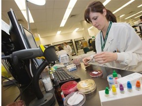 Ashley Whitehead prepares a ‘streptococcus grouping’. Whitehead works for the Eastern Ontario Regional Laboratory Association (EORLA), which has cut wait times for some in half and achieved annual savings of $5 million for eastern Ontario acute care hospitals.