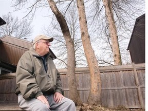 Brian Mahoney, 74, photographed by his ash trees, which have succumbed to the emerald ash borer, says the city or the province should help with removing the trees.