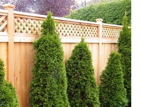 A fence can add curb appeal, privacy and security.
