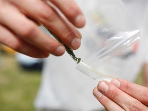 People gathered on the lawns of Parliament Hill in Ottawa to demonstrate, hang out, walk their dogs, skip rope, play in the sun, and yes, openly smoke weed, during the annual “420,” gathering on April 20, 2014.