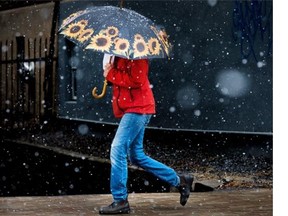 Tuesday morning’s raindrops turned to afternoon ice pellets, then snowflakes for this pedestrian making his way along Bank Street.