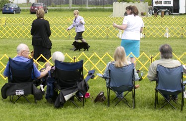 A group of people take in one of the dog shows at the Ottawa Kennel Club dog show held in Richmond, Ontario, May 25, 2014.
