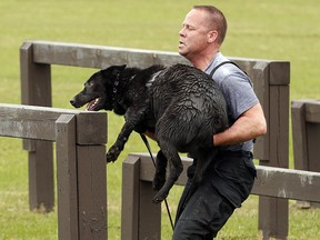 OTTAWA, ON. MAY 1, 2014 --- Forty police officers and their canine partners took part in the gruelling Iron Dog Competition Thursday at the Connaught Range and Primary Training Centre in Ottawa.  The four kilometre obstacle course involved swimming through small ravines together, navigating tunnels and climbing over walls.  The Iron Dog is the culmination of a four-day workshop/seminar of learning and sharing put on by the Canadian Police Canine Association, which hosted 106 police and their dogs from all over Canada and the US in Ottawa this year.  (Julie Oliver/Ottawa Citizen) #116880. CITY.