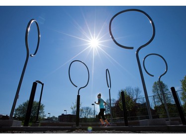 As part of the rehabilitation of Jack Purcell Park in Centretown, the city  installed ten light poles as a nod to the famed badminton player of the same name. Only problem is that Jack Purcell was from Guelph; Ottawa's Jack Purcell was a community volunteer who mended children's hockey sticks in the 1950s and 60s