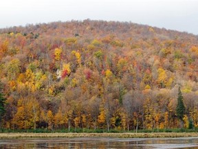 The autumn colours near their peak in Gatineau Park in 2013.