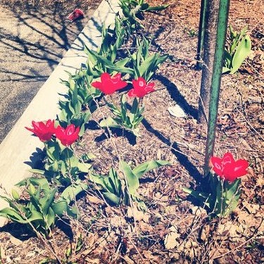 Ottawa Instagram users are getting snap happy in the sun.