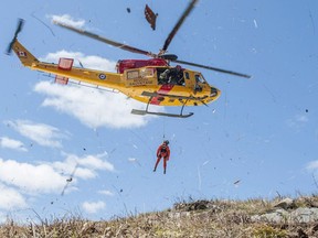 This file photo from 2014 shows a RCAF Griffon helicopter from 424 Squadron.