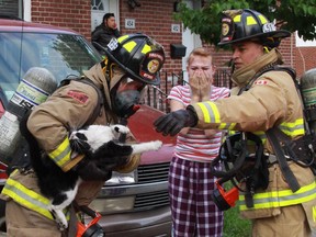 Firefighter rescued a dog and a cat from a house fire on Queen Mary Street.