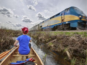 A Via rail train and a canoe cross paths as Nada Skerl  takes advantage of high water levels to go for a paddle in the Richmond Fen, one of the largest fens in Eastern Ontario .
