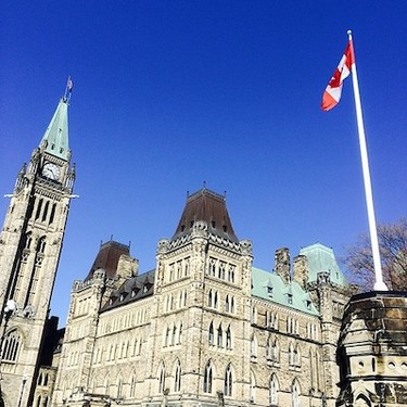 Ottawa Instagram users are getting snap happy in the sun.