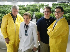 From left: CFO Don Gibbs, Master Grower Ryan Douglas, CEO Chuck Rifici and legal gun, Mark Zekulin - the men behind Tweed.