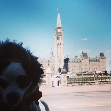 Ottawa Instagram users are getting snap happy in the sun.