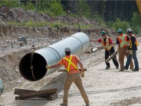 Kinder Morgan will pull advertising for its proposed Trans Mountain pipeline expansion during the federal election campaign.