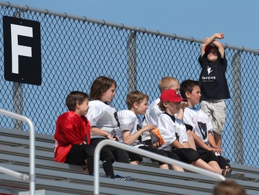 Fans came out for the opening day of the Ottawa RedBlacks training camp, June 01, 2014.