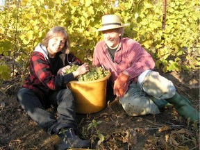 Wines from Prince Edward County winery By Chadsey's Cairns will be for sale at Ottawa Farmers' Market starting Sunday, June 15. Richard Johnston and his wife, Vida, grow the grapes and make the wine and one of them will be at the market each Sunday.