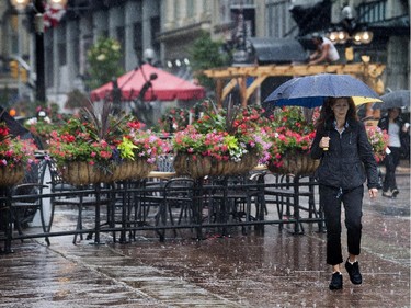 Sparks at Elgin streets as Ottawa received warm wet weather on Tuesday, with temperatures in the low 20s C with a chance of fog later in the evening.