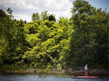 A paddle boarder near Mooney's Bay Park .