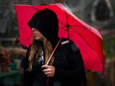 A visitor to the Byward Market stays under her umbrella as the region was hit with a significant amount of rain on Tuesday. Photo taken at 14:05 on June 24, 2014.