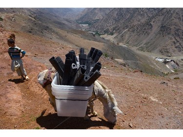 A donkey laden with ballot boxes pauses as it transports election materials to polling stations not accessible by road in the Shotul district of Panjshir province on June 13, 2014. Afghans head to the polls on June 14 for a second-round election to choose a successor to President Hamid Karzai, with the threat of Taliban attacks and fraud looming over the country's first democratic transfer of power.