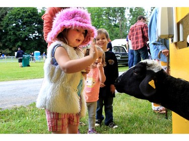 Ava Russell, 3, offers a goat a high five at the CHEO Teddy Bear pinic at Rideau Hall on Saturday.