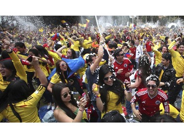 Colombia soccer fans cheer during their team's soccer World Cup game against Greece in Bogota, Colombia, Saturday, June 14, 2014. Colombia defeated Greece 3-0.