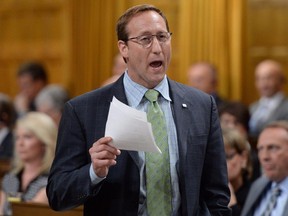 Justice Minister Peter MacKay stands during question period in the House of Commons on Parliament Hill in Ottawa on Monday, June 16, 2014.