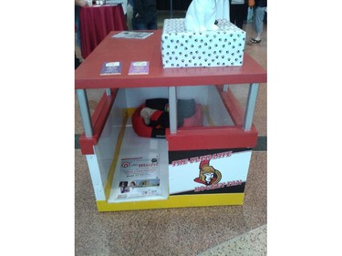 A doghouse that every Ottawa Senators fan (or player) should have, Cardel Homes created this fun, modern entry in the Homes with Woofs fundraiser for the Ottawa Humane Society June 12, 2014. It sold for $350.