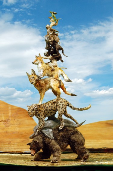 Animal Pile (Taming the Wild), by Graeme Patterson (2009, digital still, 2000 x 3008px)