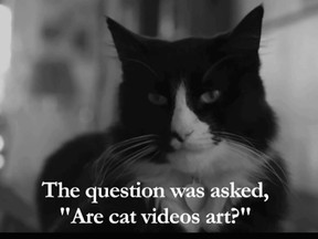 Screen grab from one of the popular internet videos starring Henri, le Chat Noir, the angst-filled, French 'philosopher cat.' The Just for Cats Film Festival fundraiser is Sunday, June 22 in Ottawa.