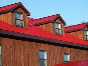 Factory finishes on metal roofs are better than ever. Look for paint warranties of 25 years or more when choosing a product.